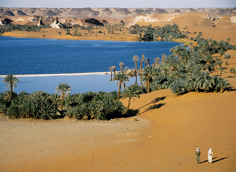 trustworthy tour packages