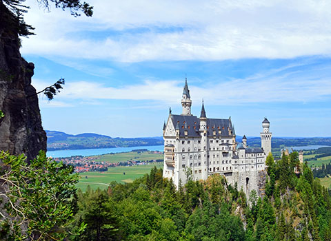 Agencies & Tourist Enterprises