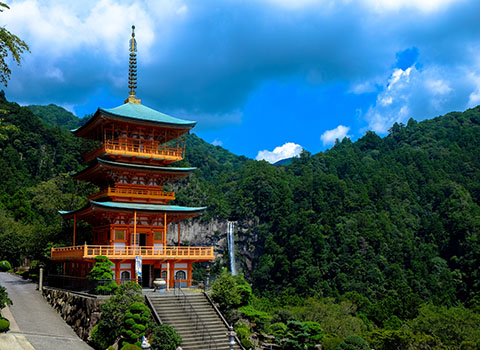 Agencies & Tourist Enterprises