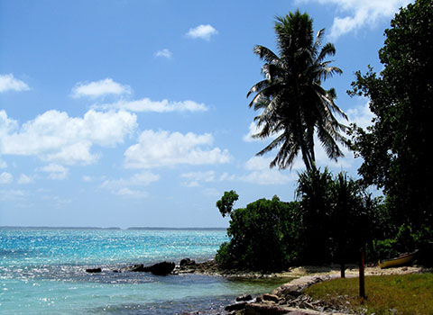 trustworthy tour packages